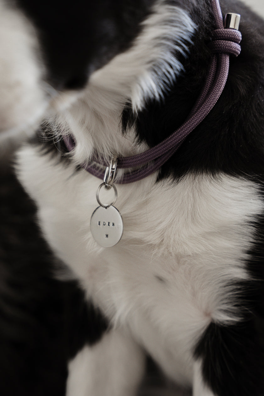 HOME · slip-on collar