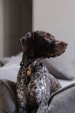 HOME · slip-on collar