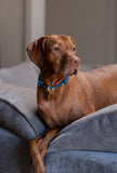 HOME · slip-on collar