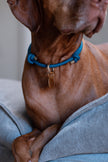 HOME · slip-on collar