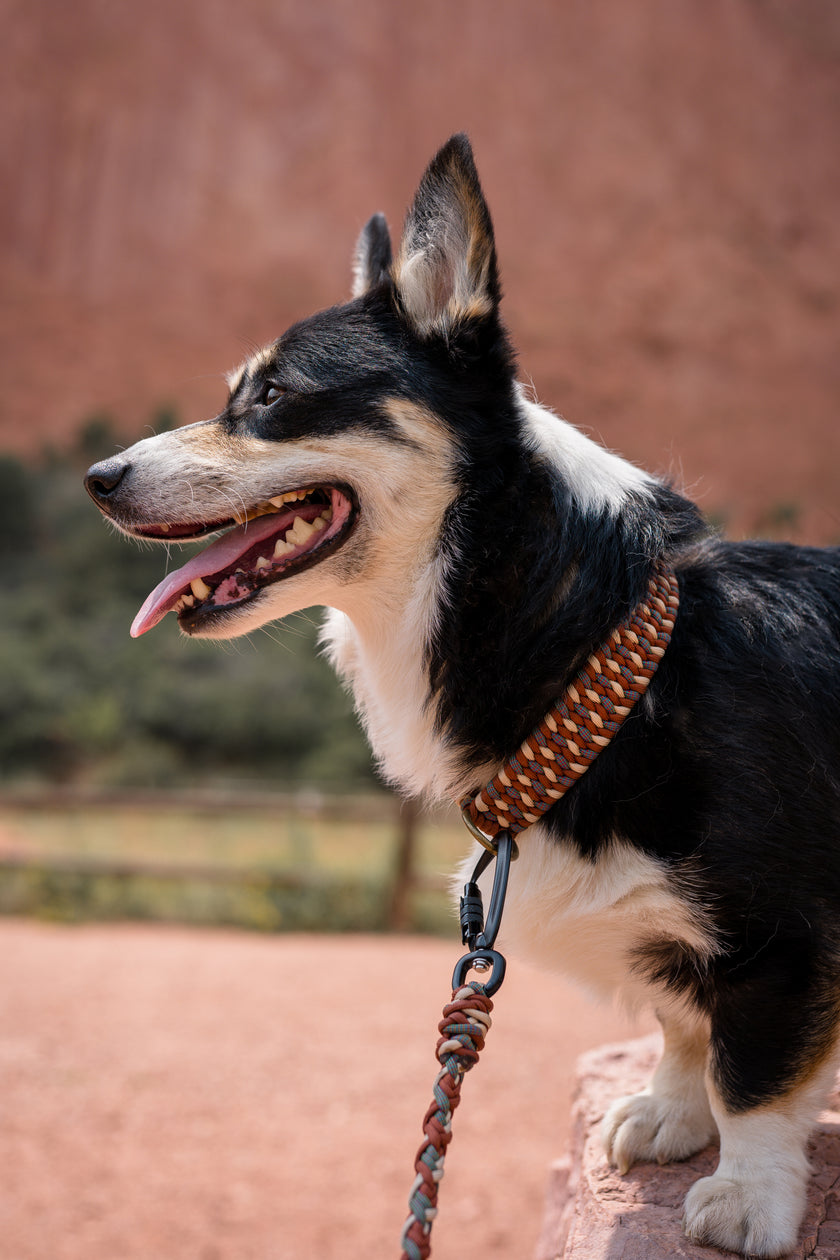 FIXI · fixed length collars