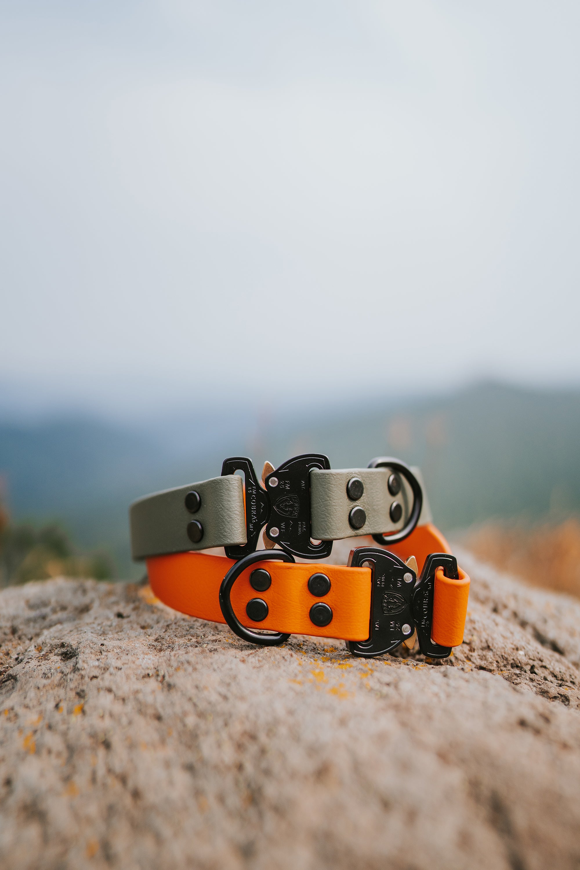 Paradigm • flat collar