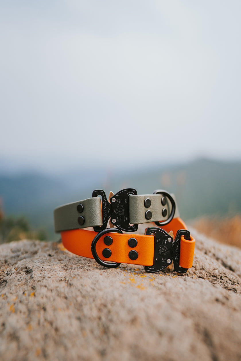 Paradigm • flat collar