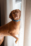 FLEX · adjustable length collars