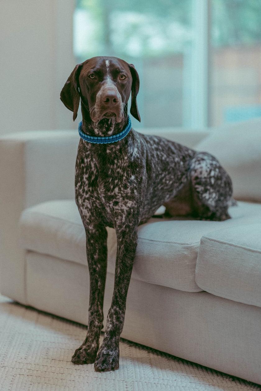 FIXI · fixed length collars