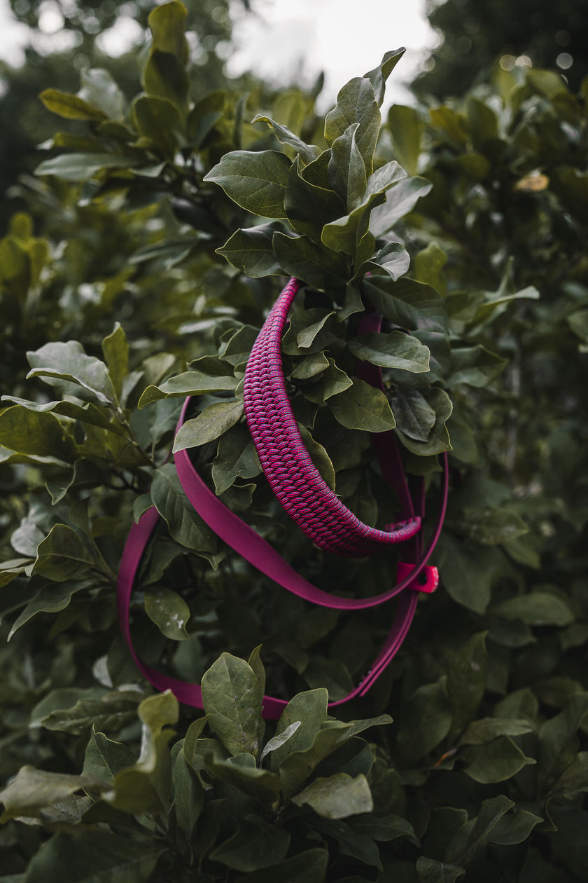 FLUX · martingale leash