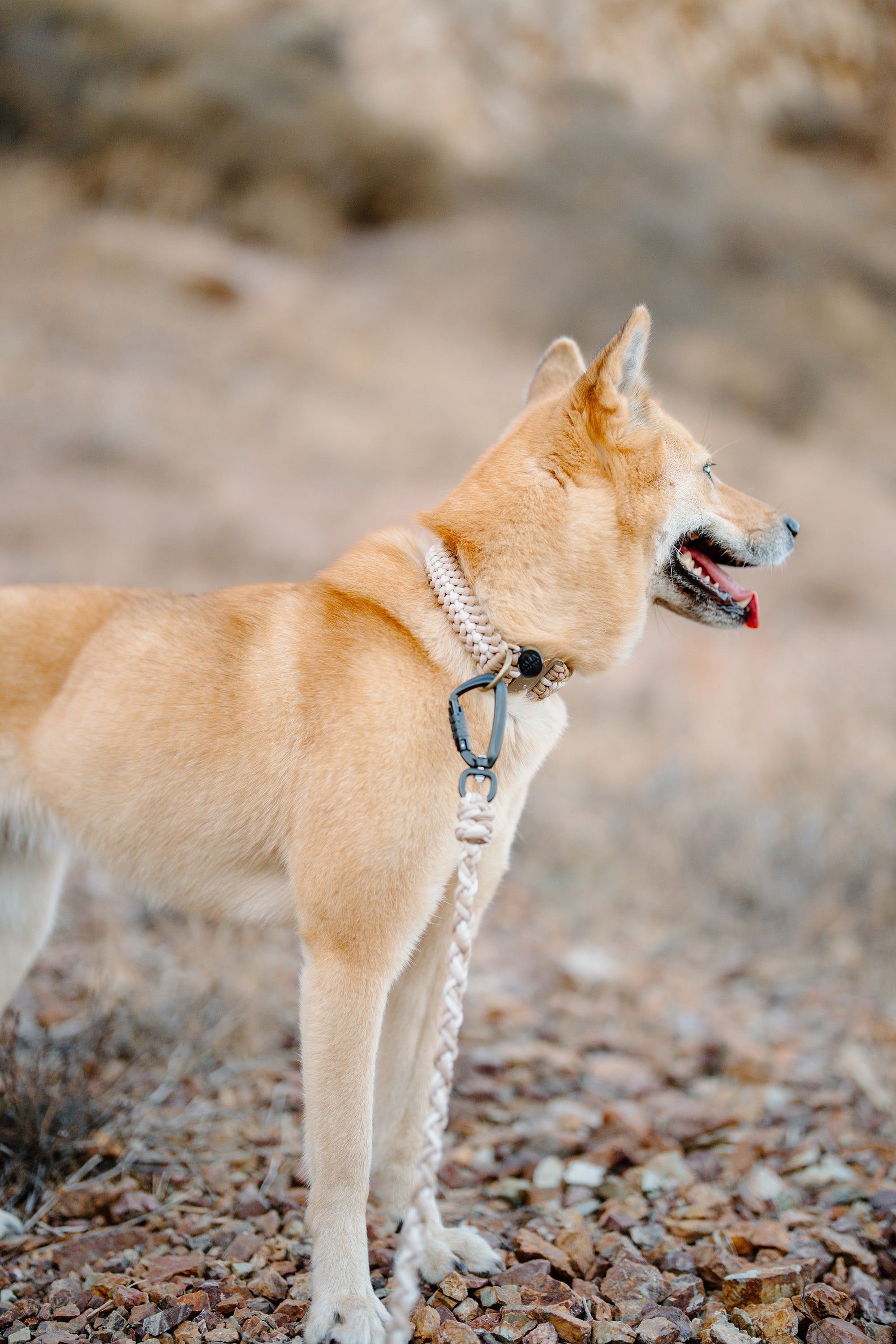 FIXI · fixed length collars