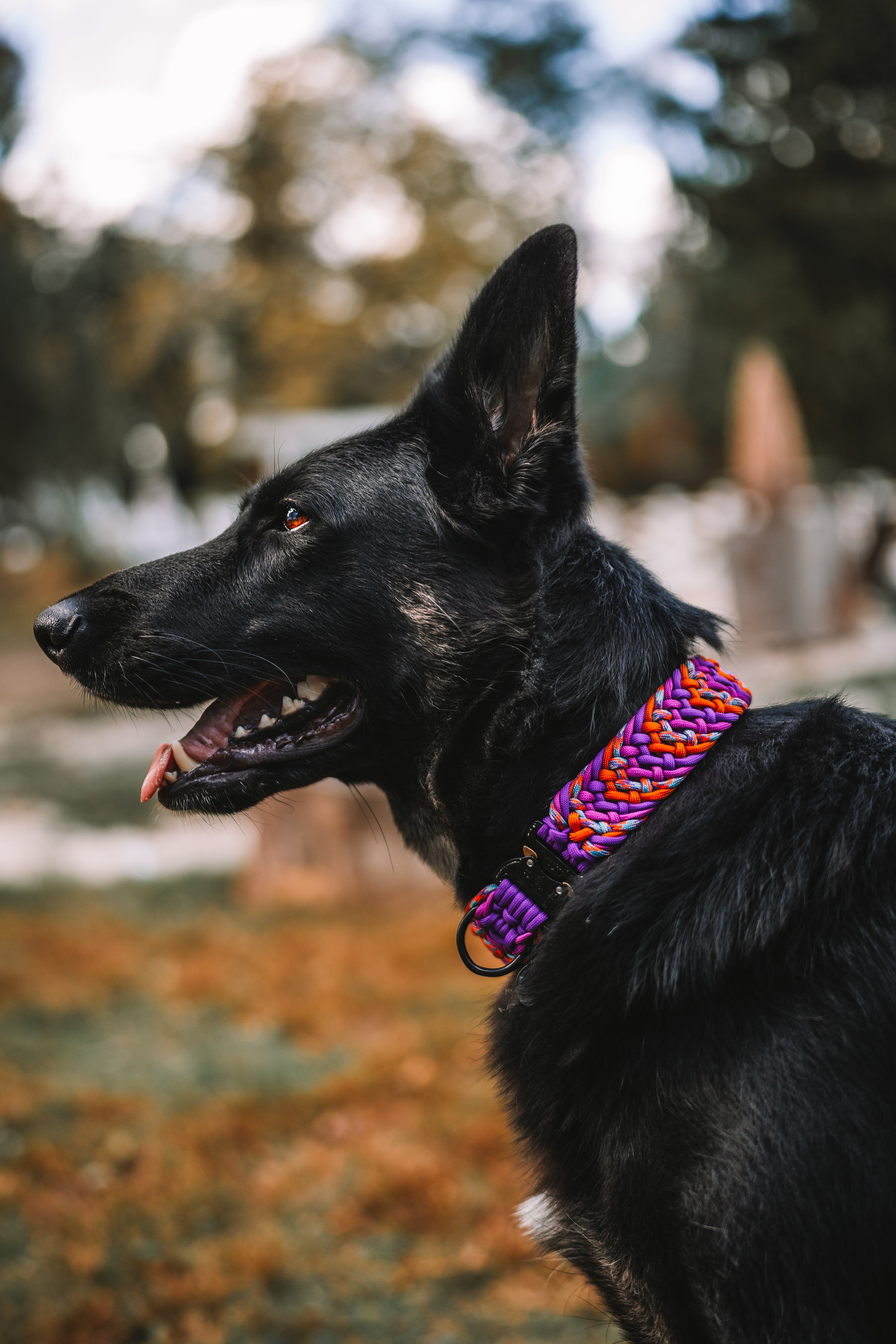 FIXI · fixed length collars