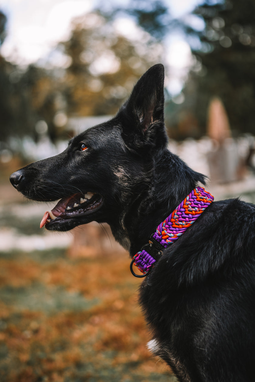 FIXI · fixed length collars