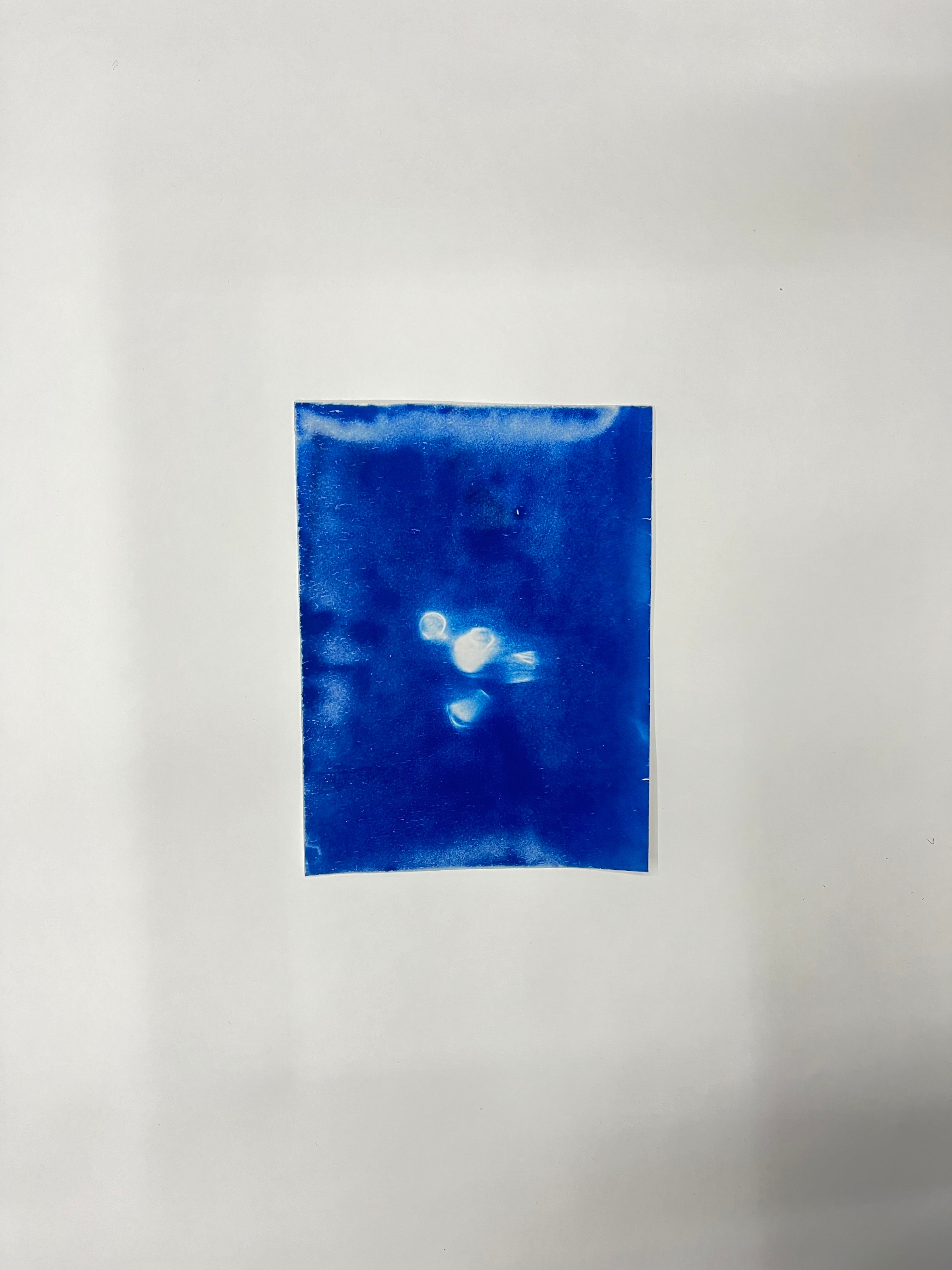 Icon Cyanotypes