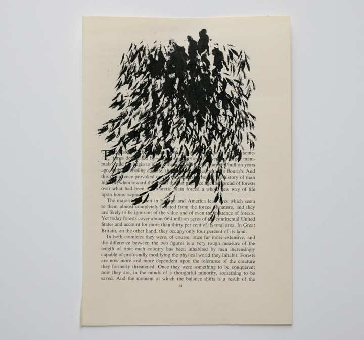 Book Page Drawings - various works