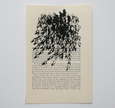 Book Page Drawings - various works