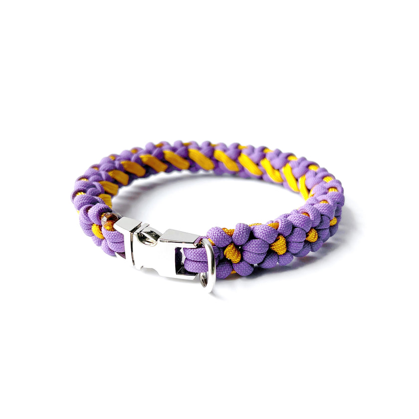 MINI · custom collar
