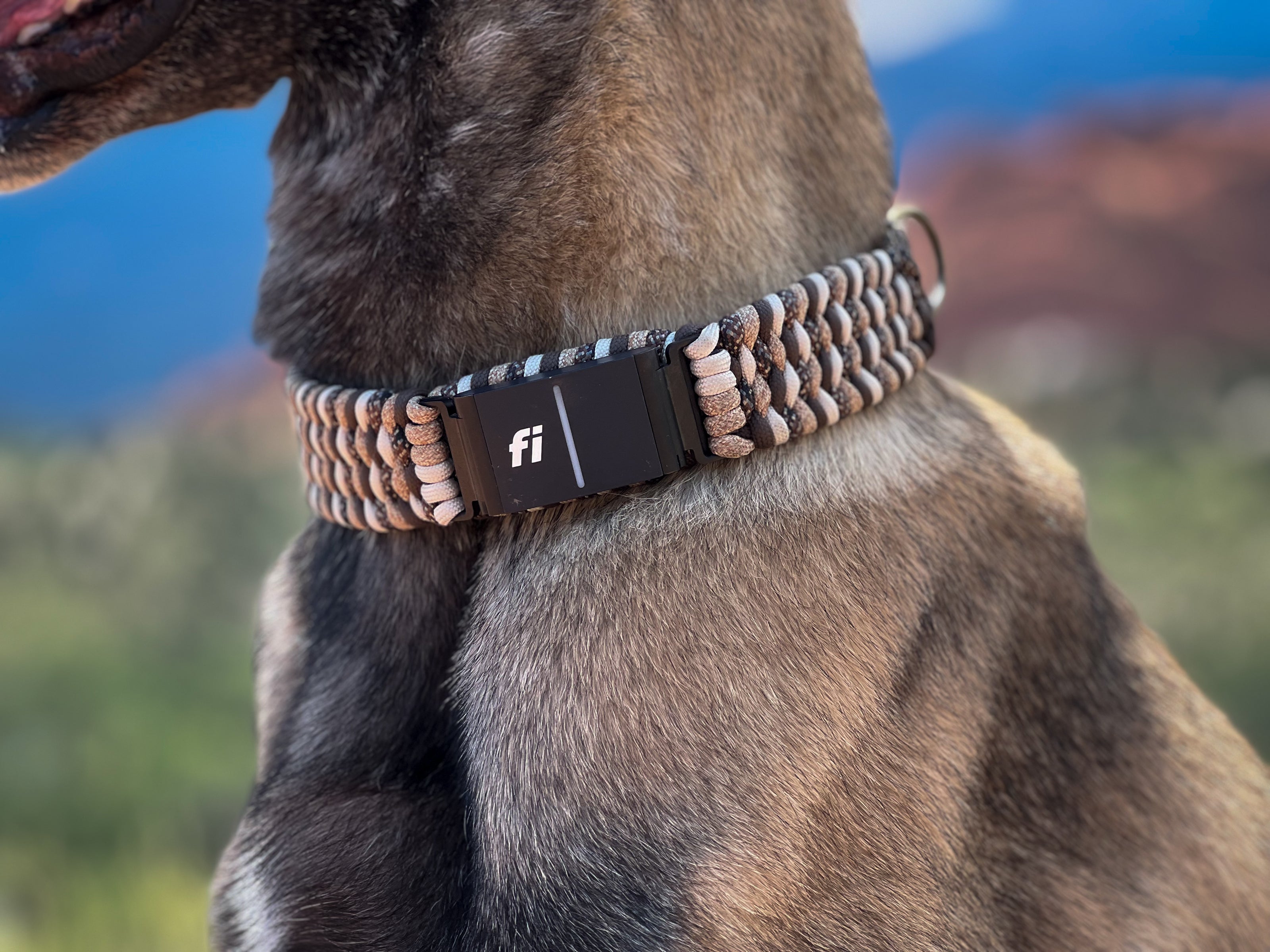 FIXI · Fi GPS Compatible (Overlay)