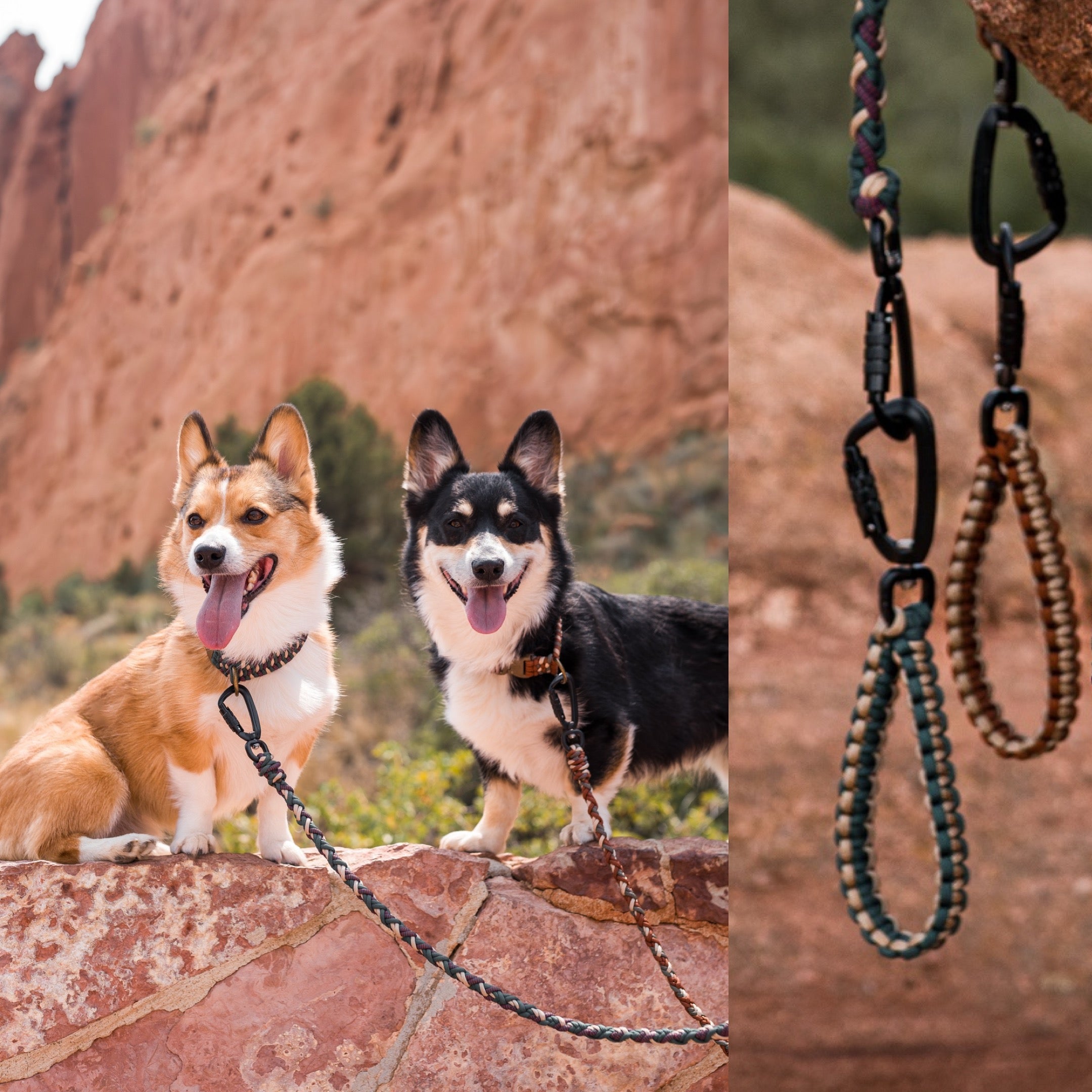 LEAD • variable leash