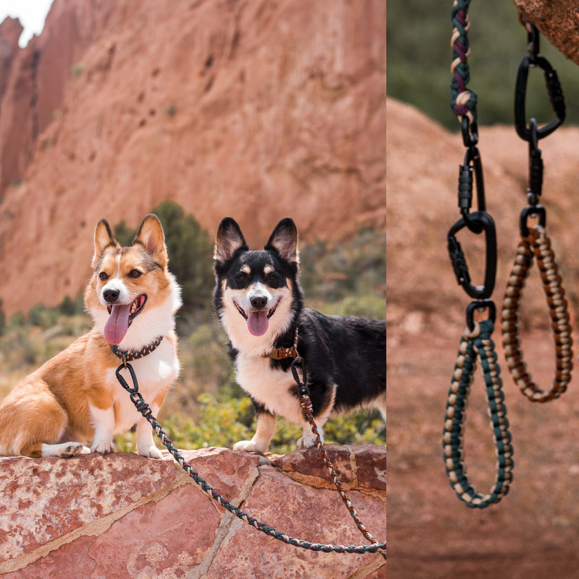 LEAD • variable leash