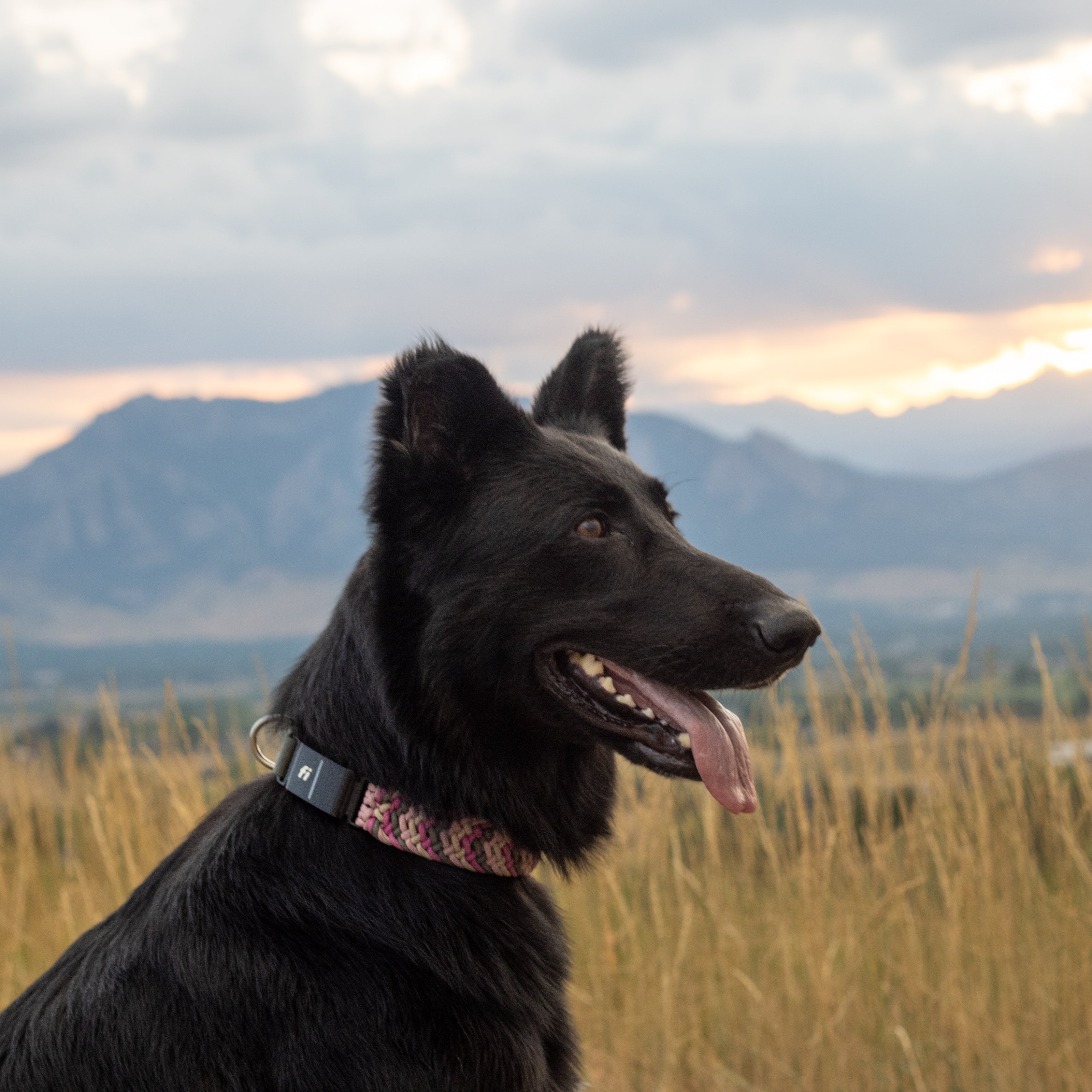 FLEX · Fi GPS Compatible (In-Line)