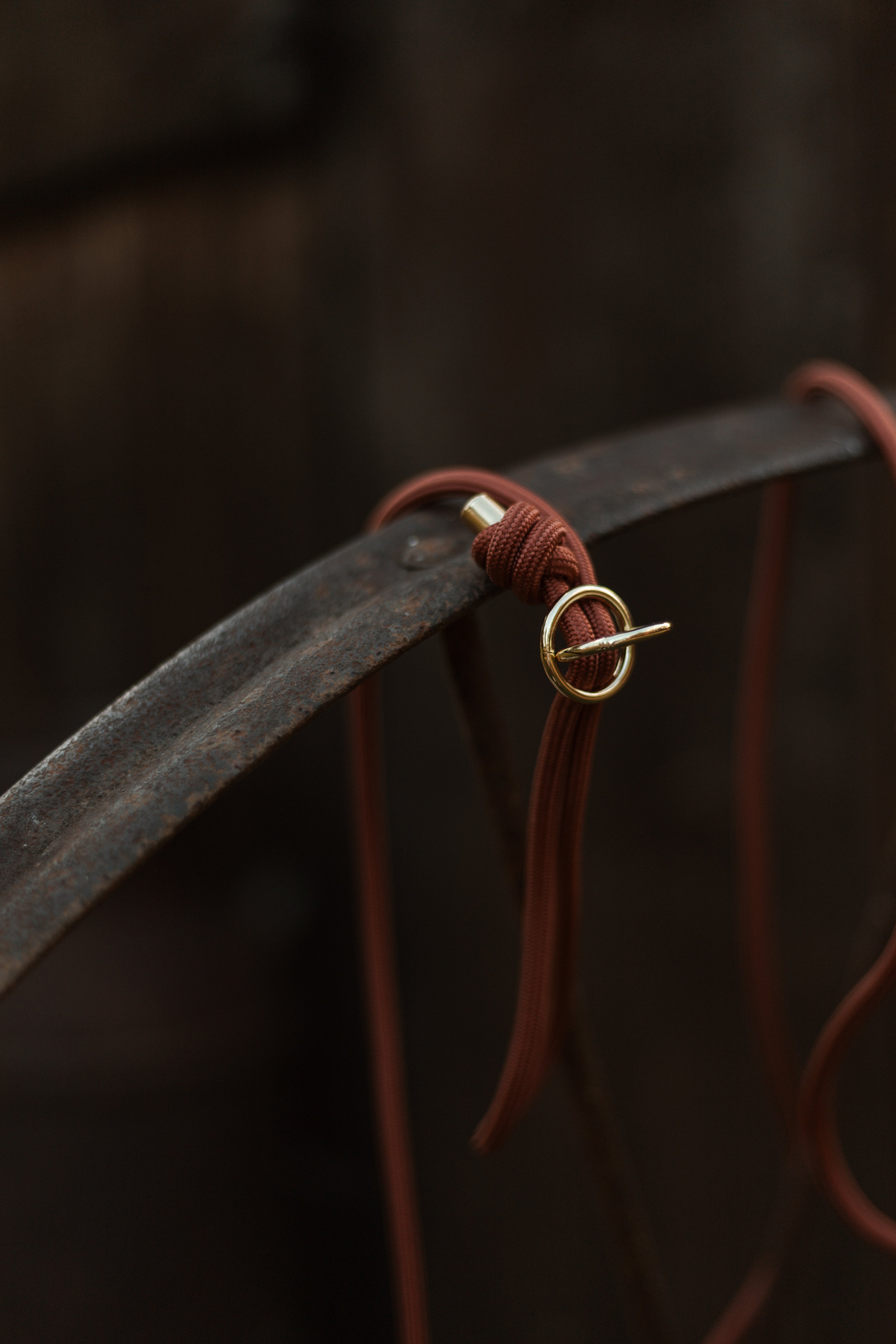 SLIP · training lead