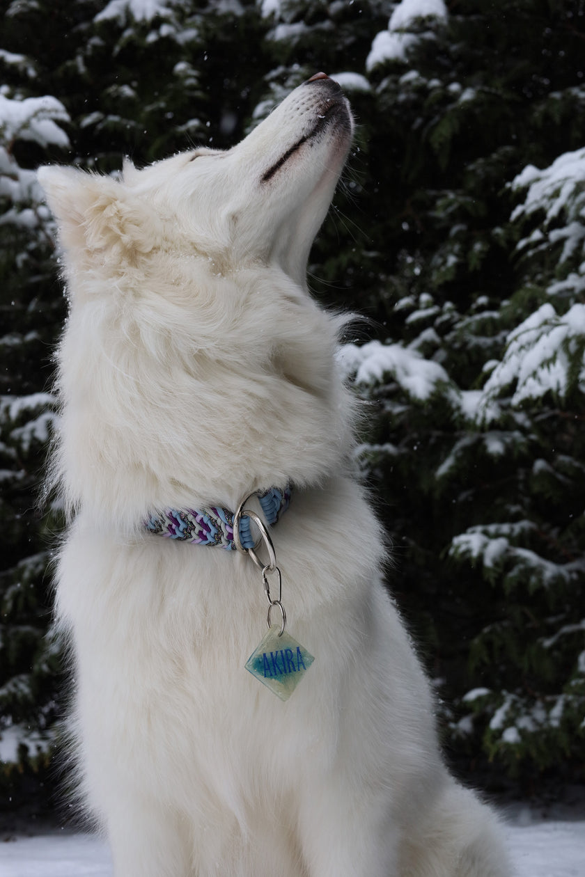 FLUX · slip collars