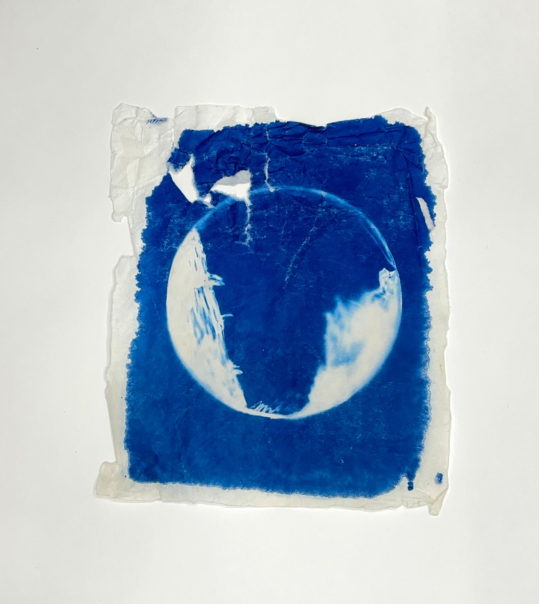 Cyanotypes - various works