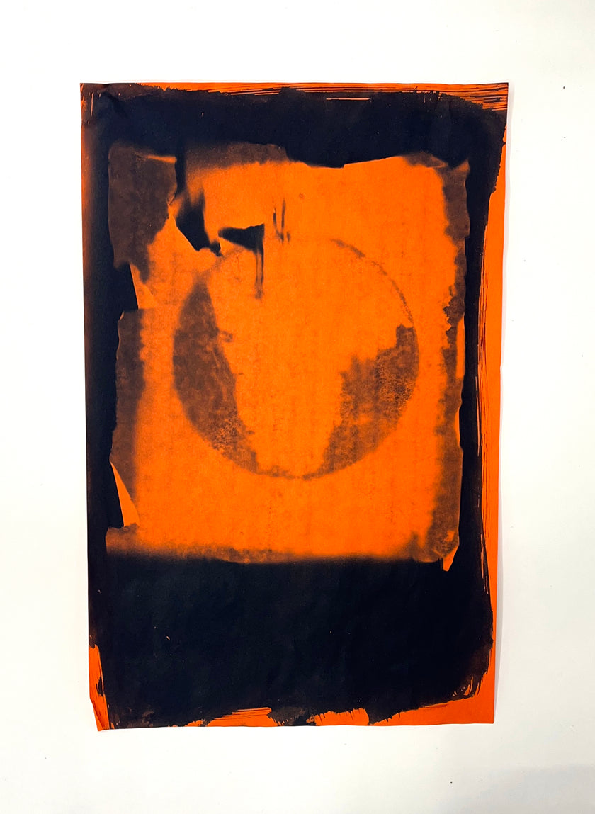 Cyanotypes - various works