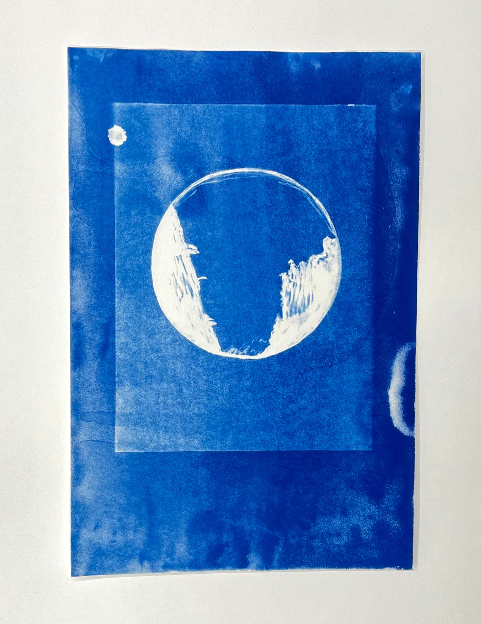 Cyanotypes - various works