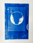 Cyanotypes - various works