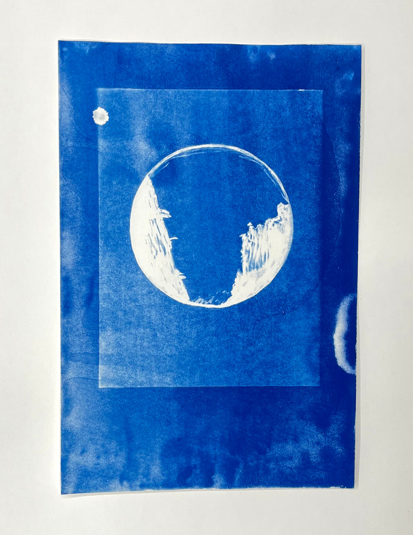 Cyanotypes - various works