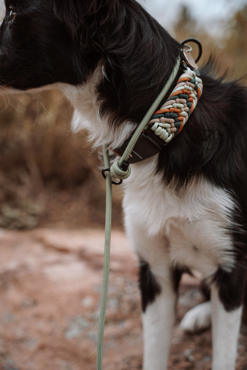 SLIP · training lead