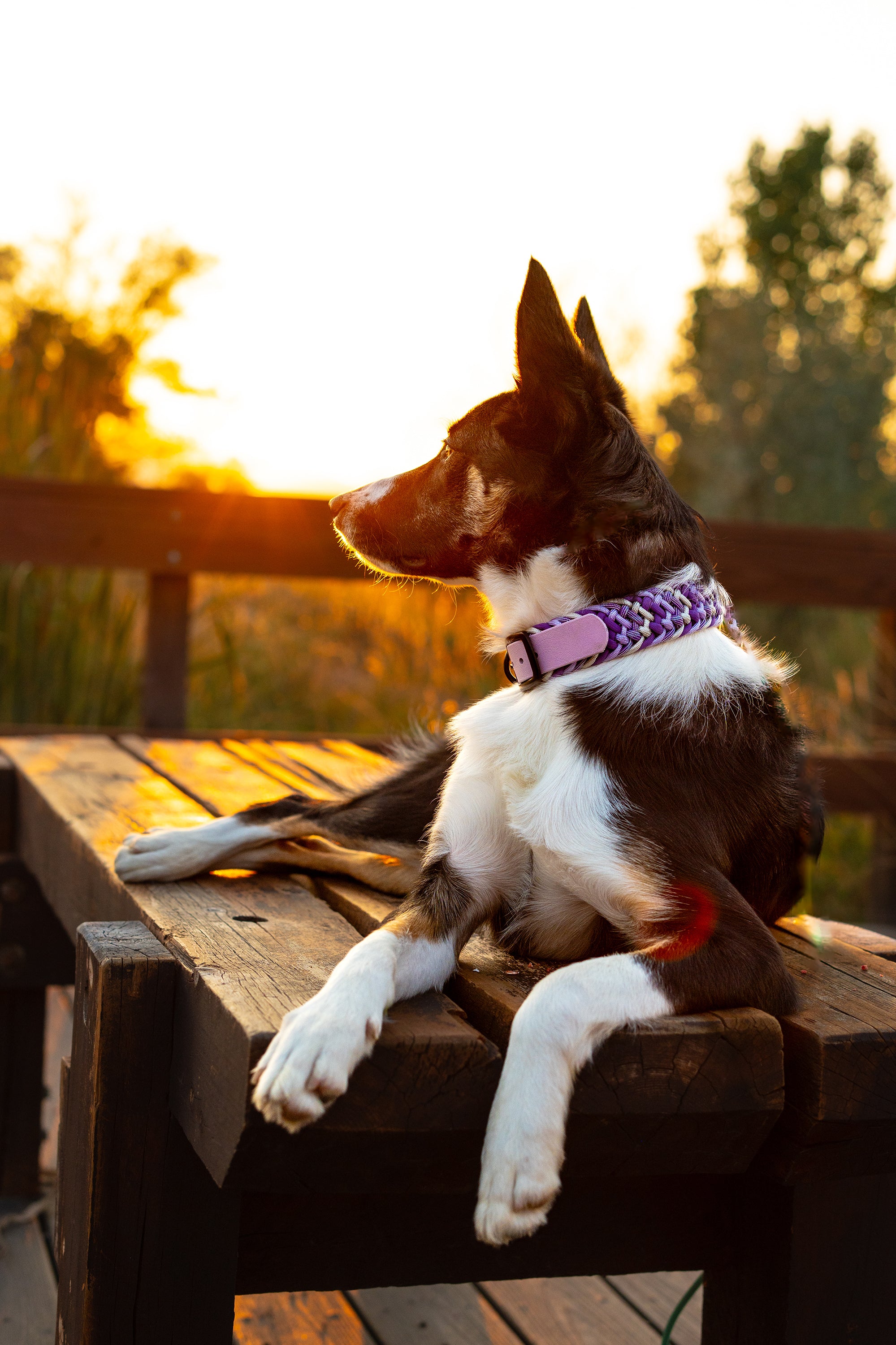FLEX · adjustable length collars