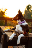 FLEX · adjustable length collars