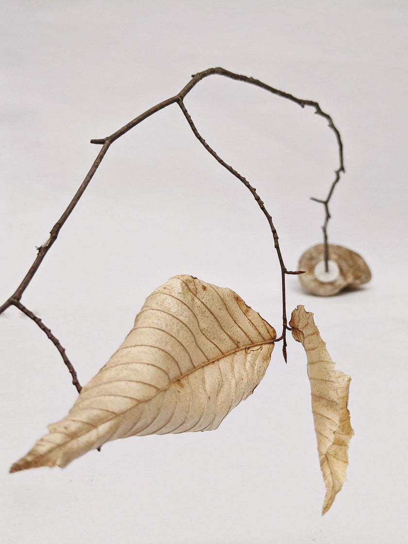 Dead Leaves From Stones N.1 - N.9
