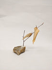 Dead Leaves From Stones N.1 - N.9