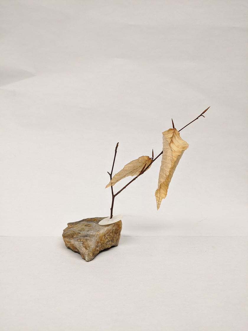Dead Leaves From Stones N.1 - N.9