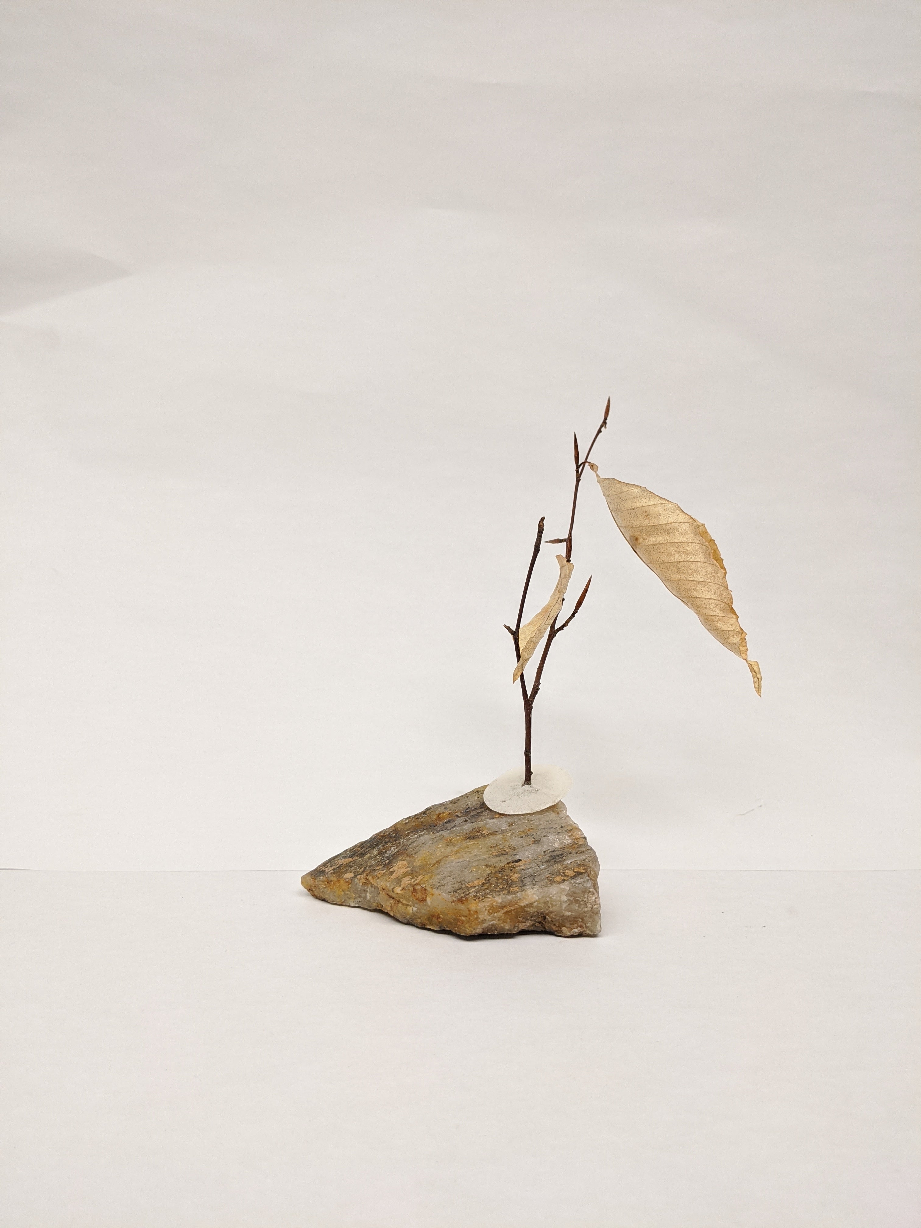Dead Leaves From Stones N.1 - N.9