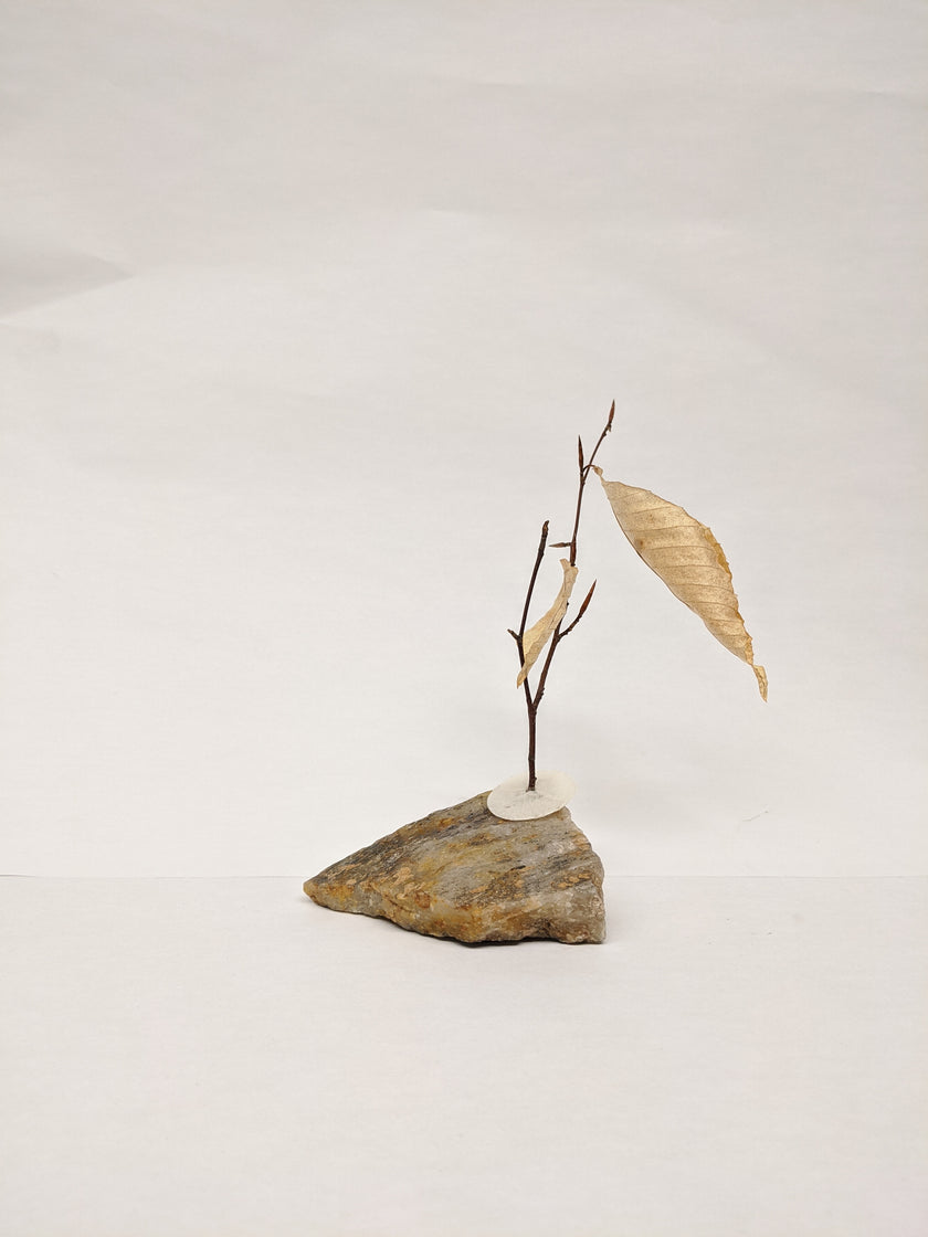 Dead Leaves From Stones N.1 - N.9
