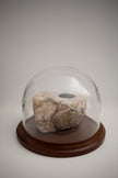 Altar Stones N.1 - N.12
