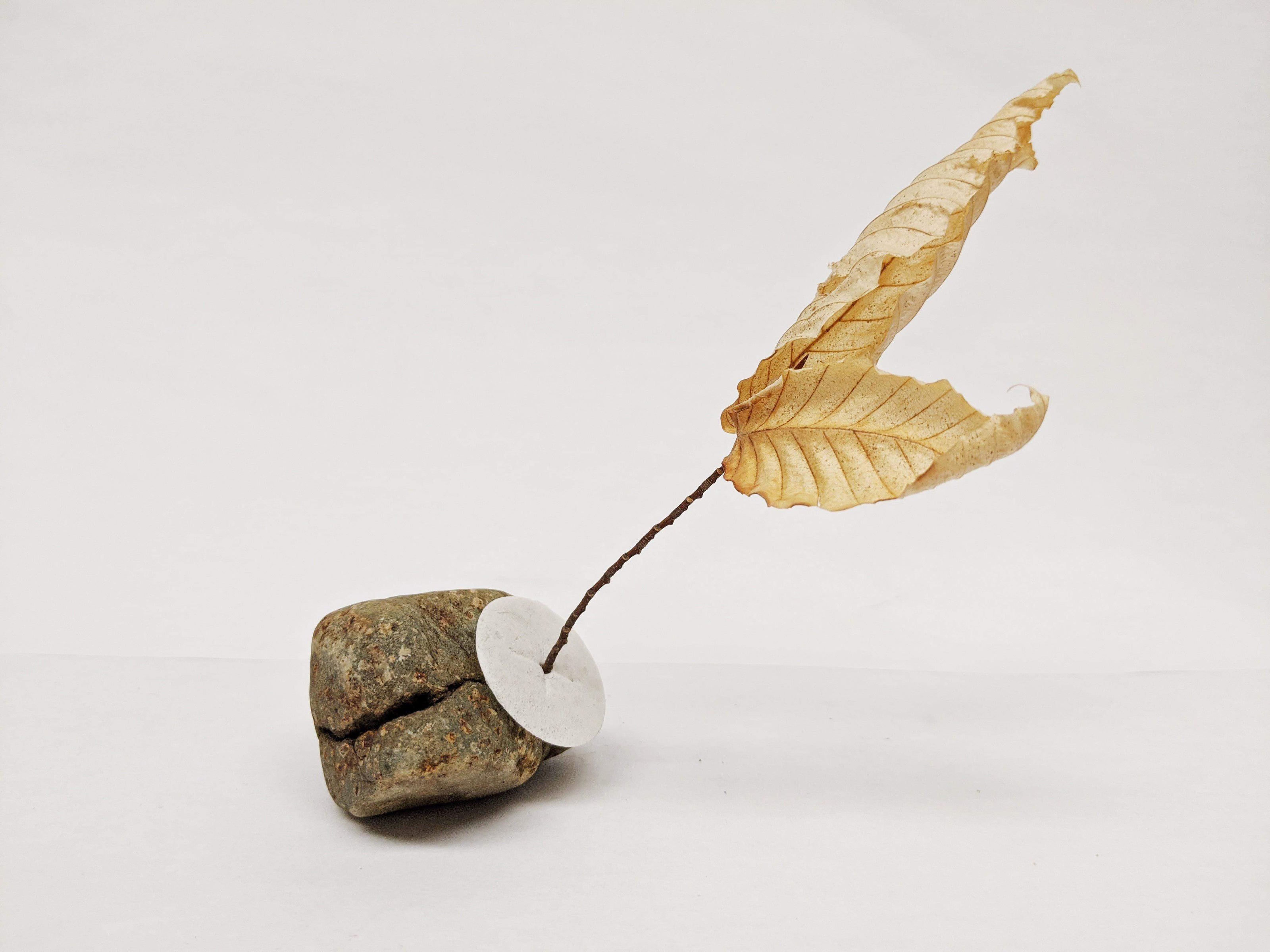 Dead Leaves From Stones N.1 - N.9