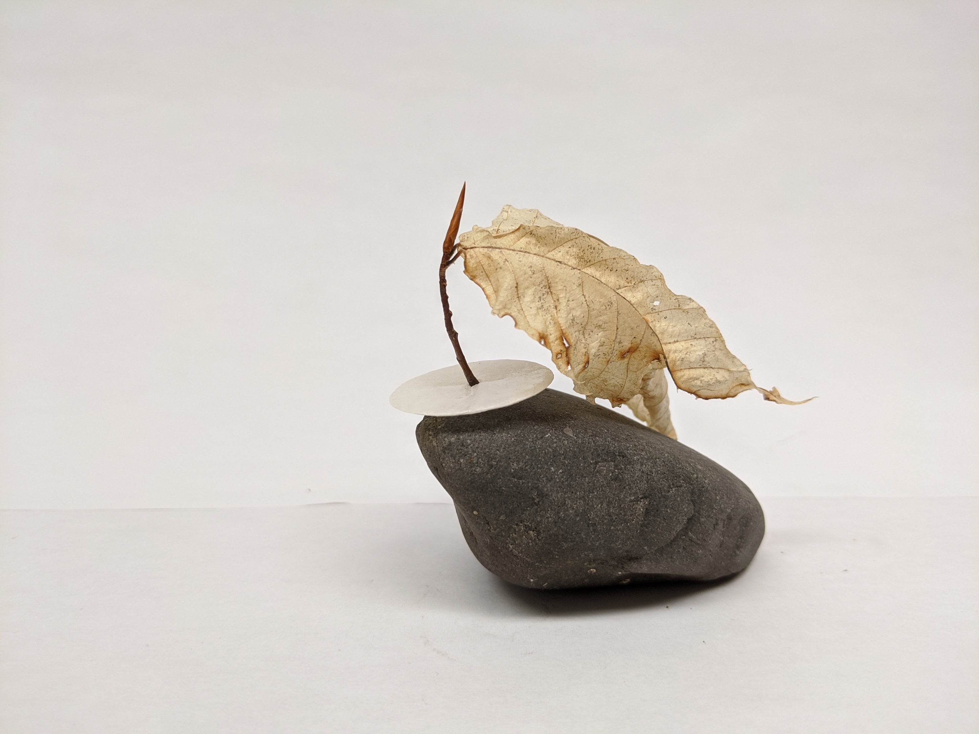 Dead Leaves From Stones N.1 - N.9
