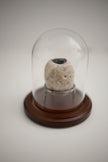 Altar Stones N.1 - N.12
