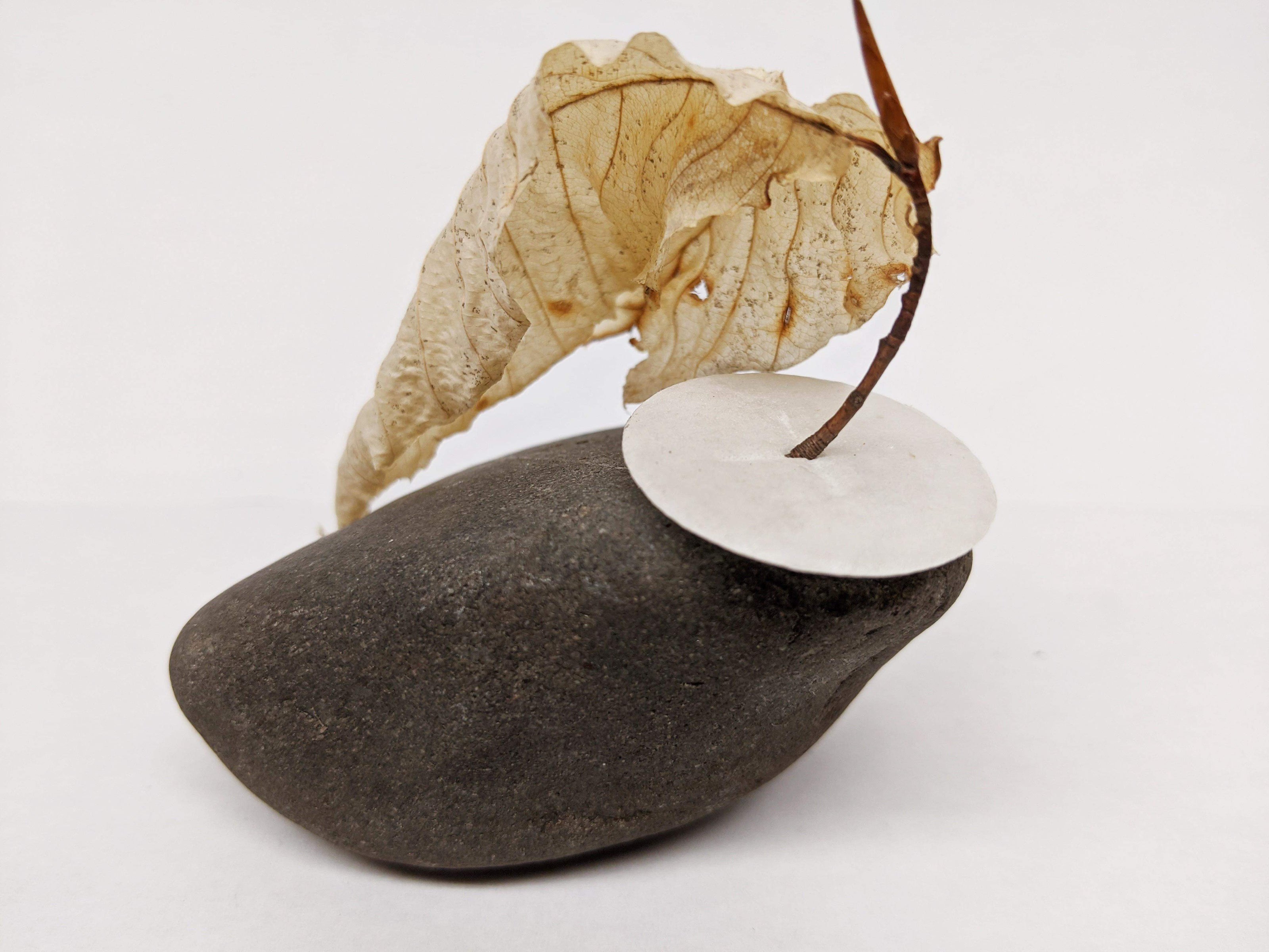 Dead Leaves From Stones N.1 - N.9