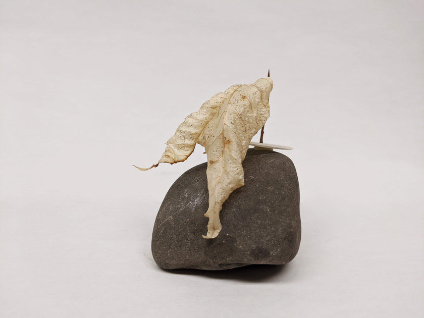 Dead Leaves From Stones N.1 - N.9