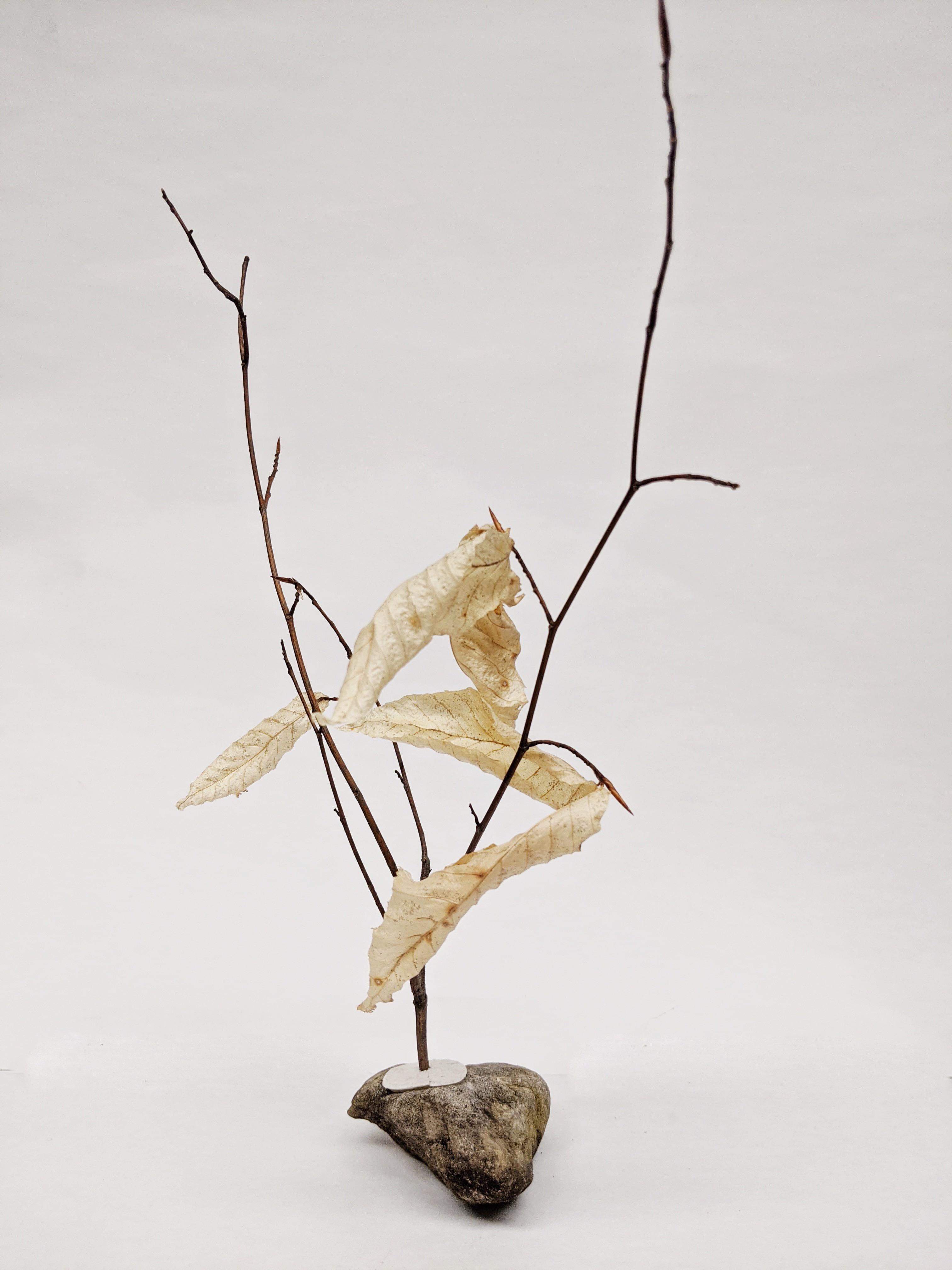 Dead Leaves From Stones N.1 - N.9