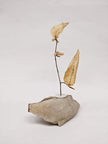 Dead Leaves From Stones N.1 - N.9