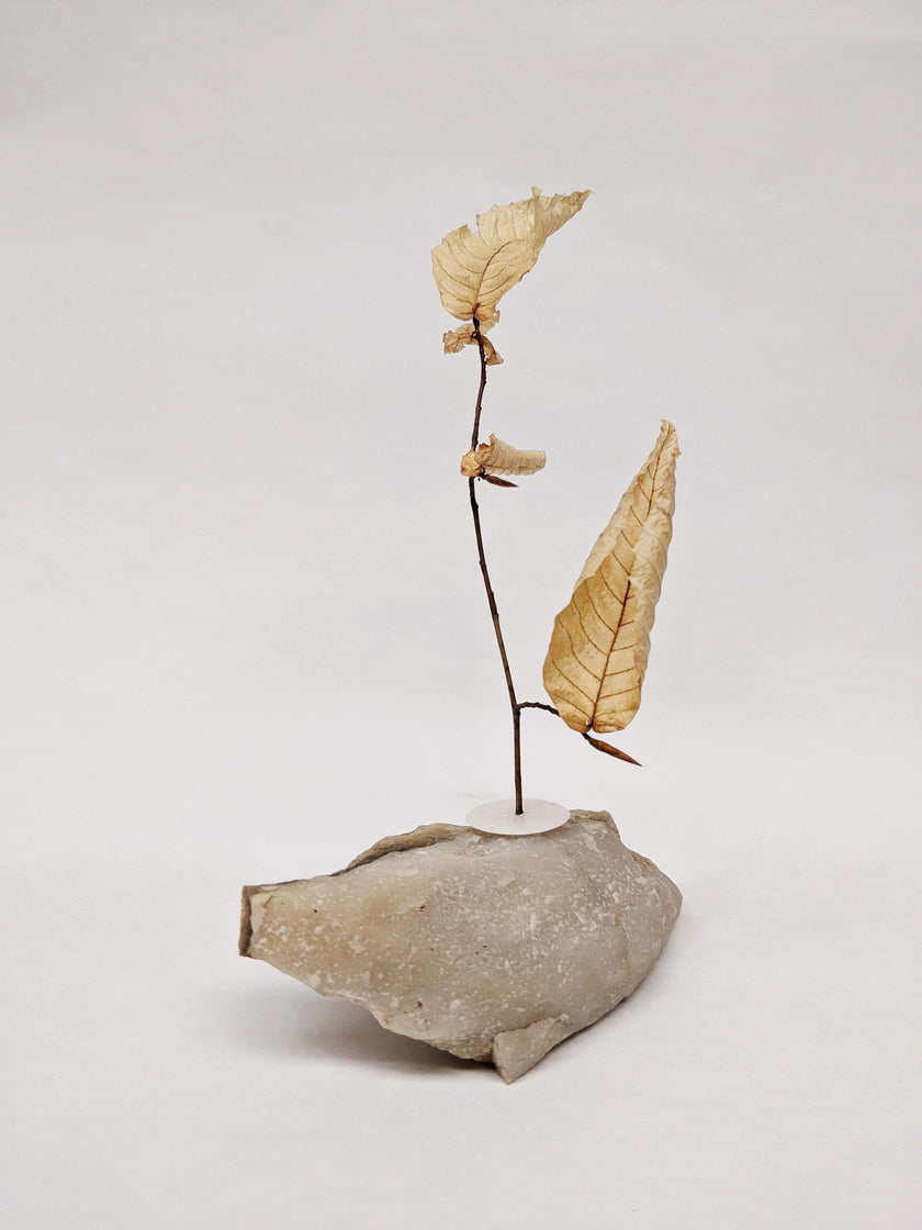 Dead Leaves From Stones N.1 - N.9