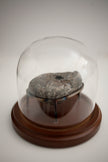 Altar Stones N.1 - N.12