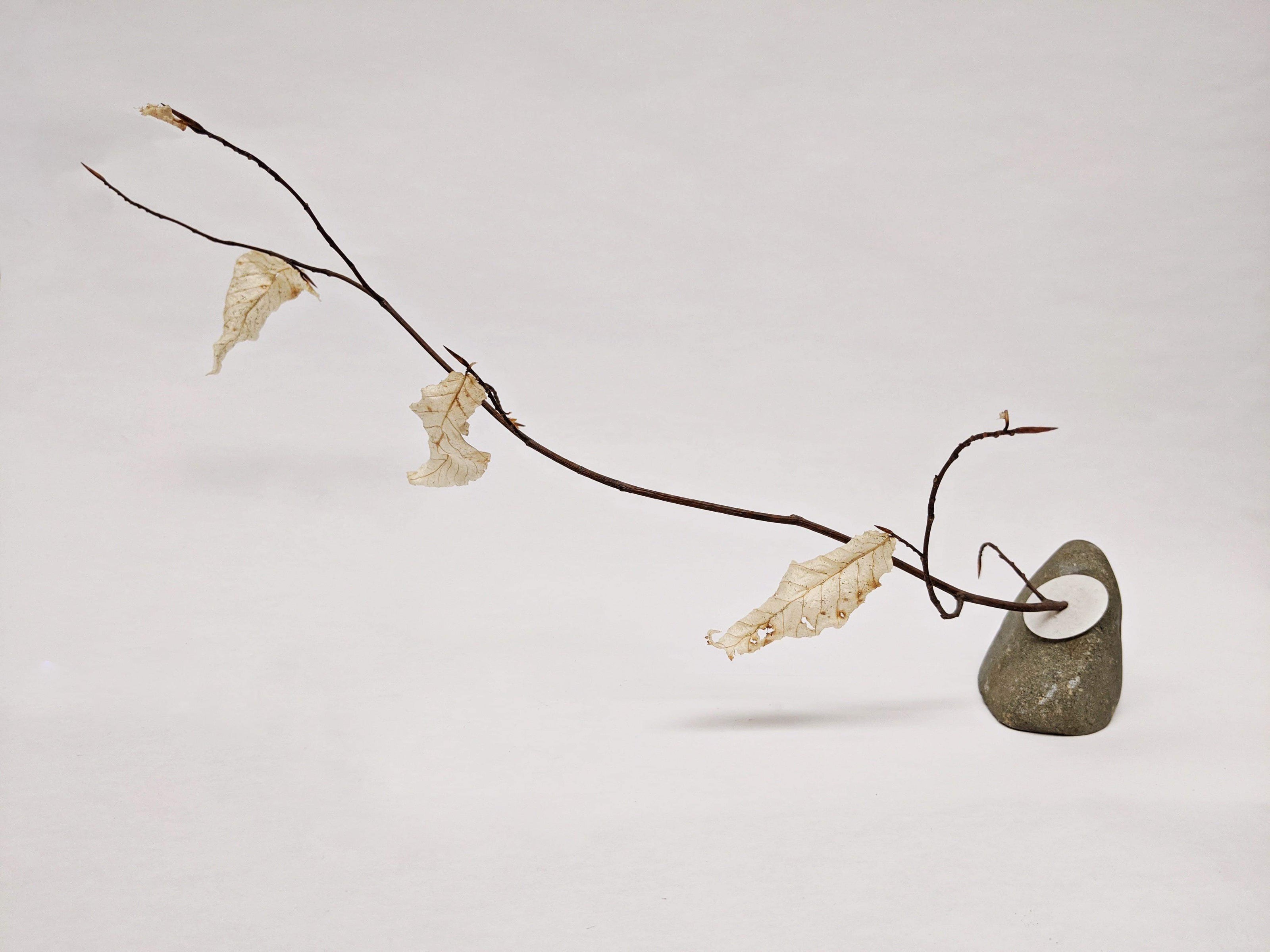 Dead Leaves From Stones N.1 - N.9