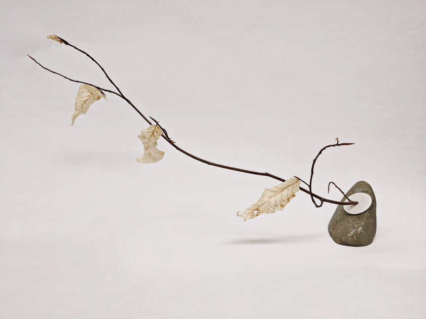 Dead Leaves From Stones N.1 - N.9