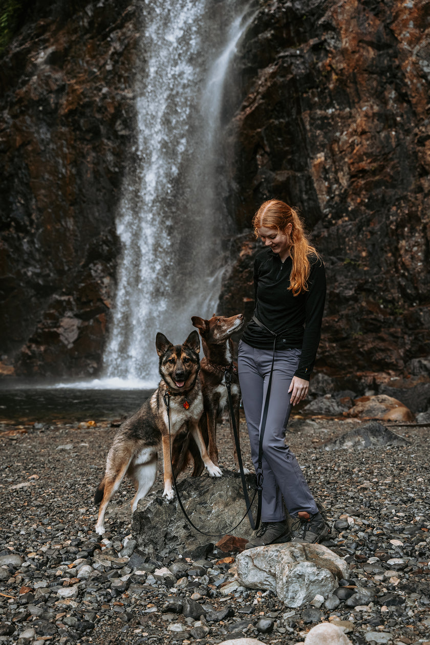 Parade • multi-dog sectional leash