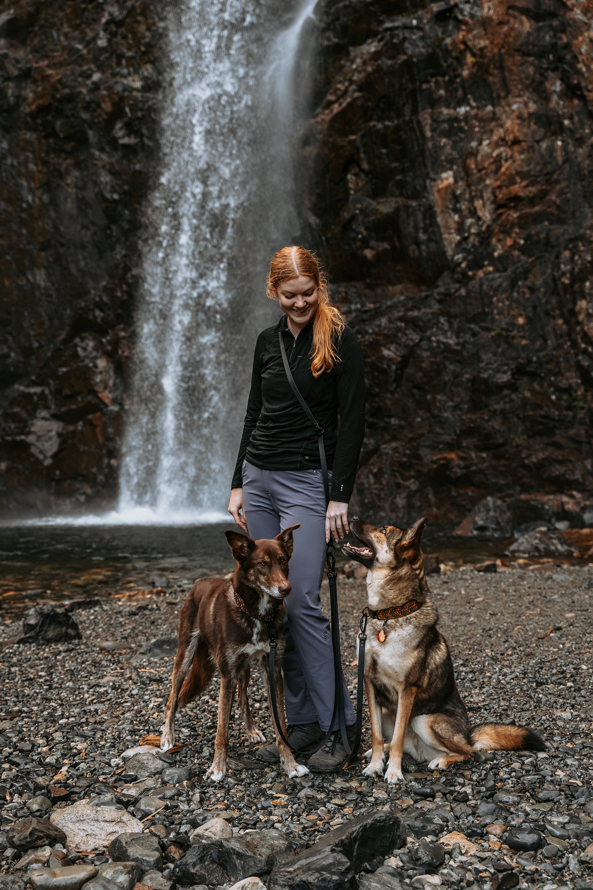 Parade • multi-dog sectional leash